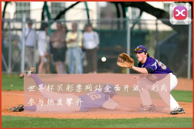 世界杯买彩票网站全面开放,彩民参与热度攀升