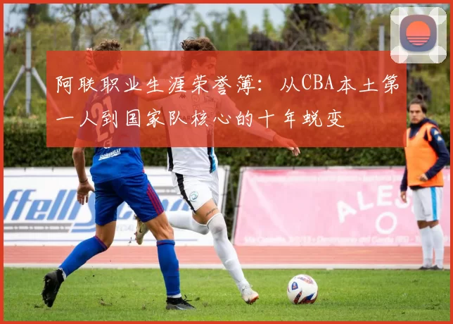 阿联职业生涯荣誉簿:从CBA本土第一人到国家队核心的十年蜕变