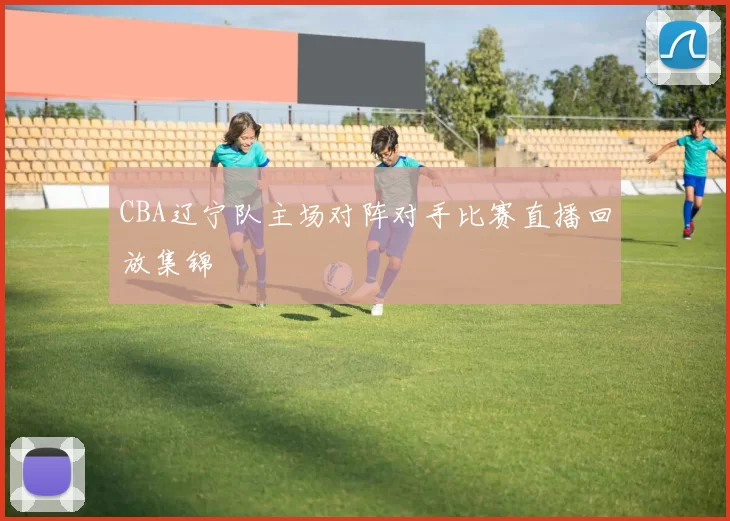 CBA辽宁队主场对阵对手比赛直播回放集锦