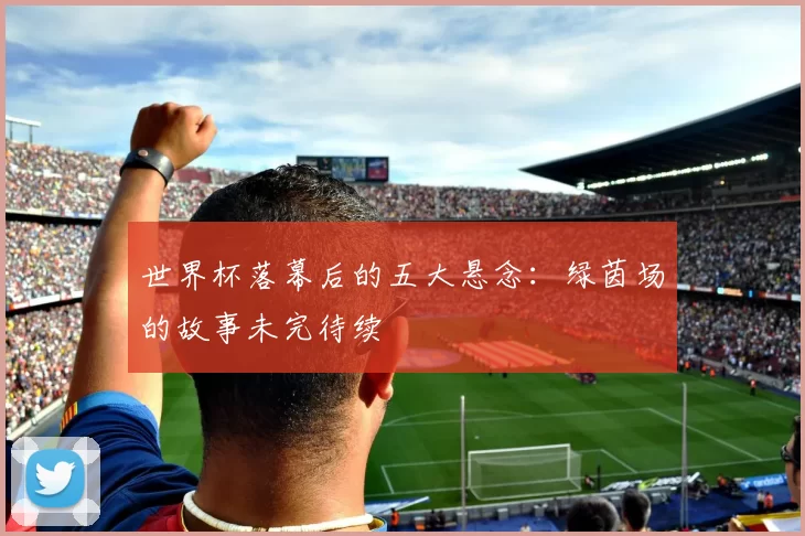世界杯落幕后的五大悬念:绿茵场的故事未完待续
