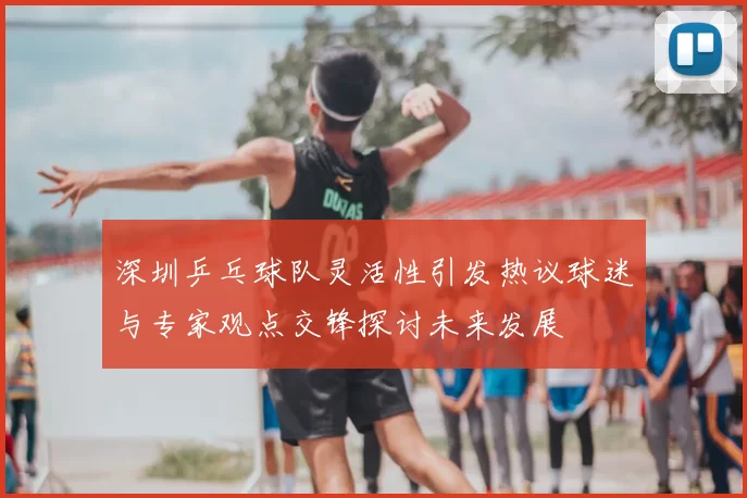 深圳乒乓球队灵活性引发热议球迷与专家观点交锋探讨未来发展