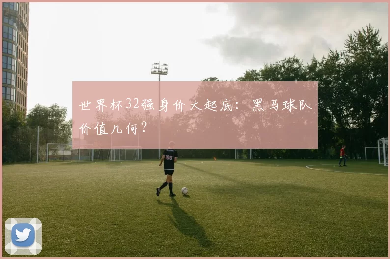 世界杯32强身价大起底:黑马球队价值几何?