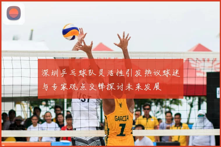 深圳乒乓球队灵活性引发热议球迷与专家观点交锋探讨未来发展