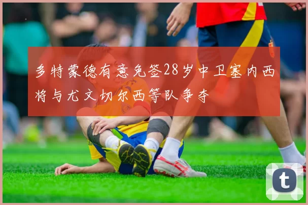 多特蒙德有意免签28岁中卫塞内西将与尤文切尔西等队争夺