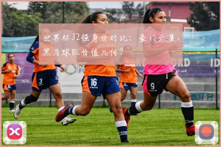 世界杯32强身价对比:豪门云集,黑马球队价值几何?