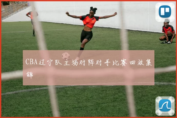 CBA辽宁队主场对阵对手比赛回放集锦