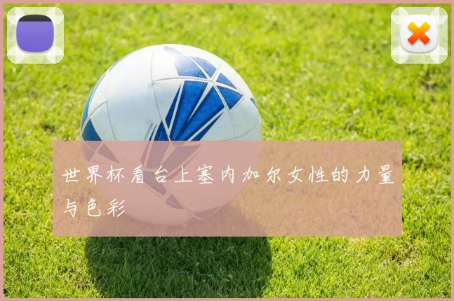 世界杯看台上塞内加尔女性的力量与色彩