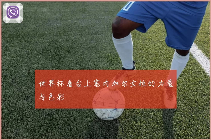 世界杯看台上塞内加尔女性的力量与色彩