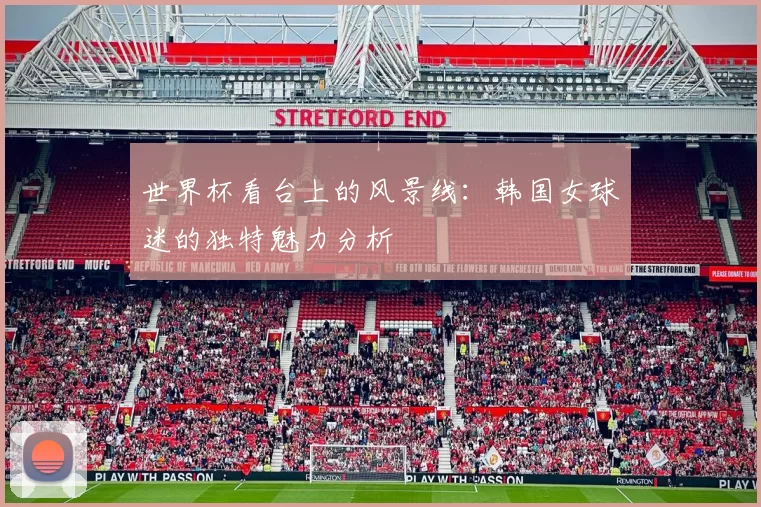 世界杯看台上的风景线:韩国女球迷的独特魅力分析