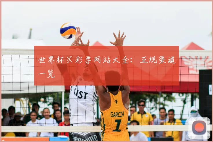 世界杯买彩票网站大全：正规渠道一览